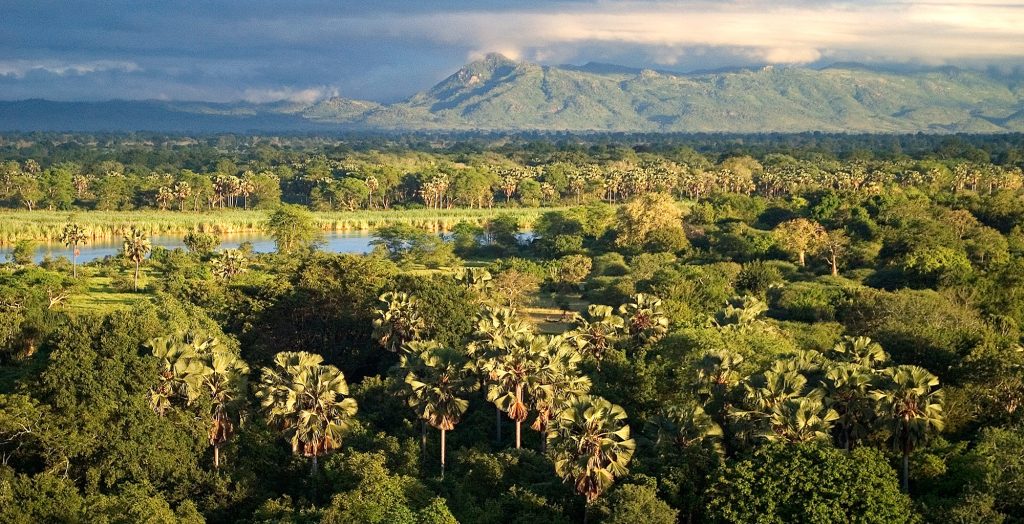 Liwonde National Park