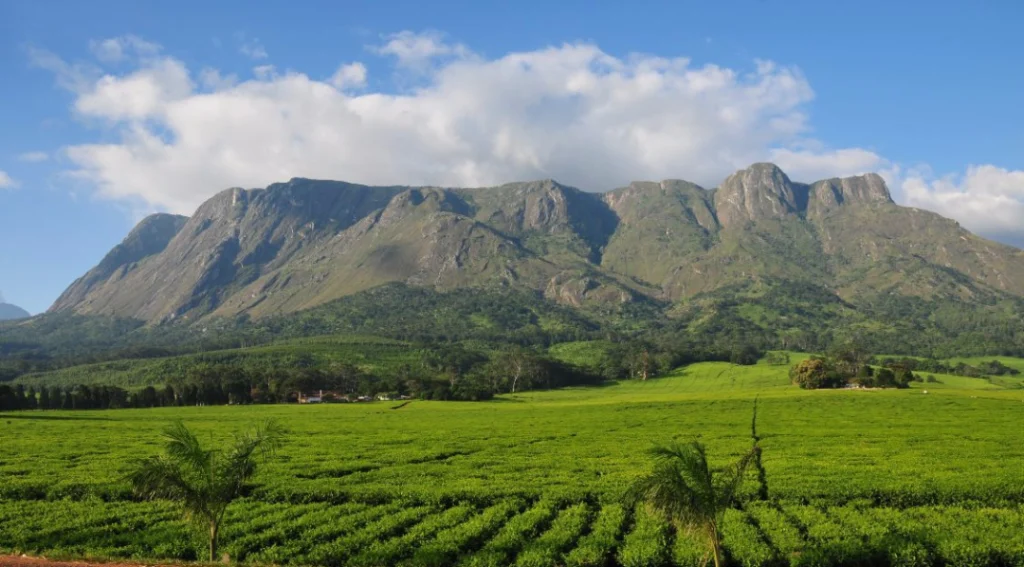 Mulanje Mountain