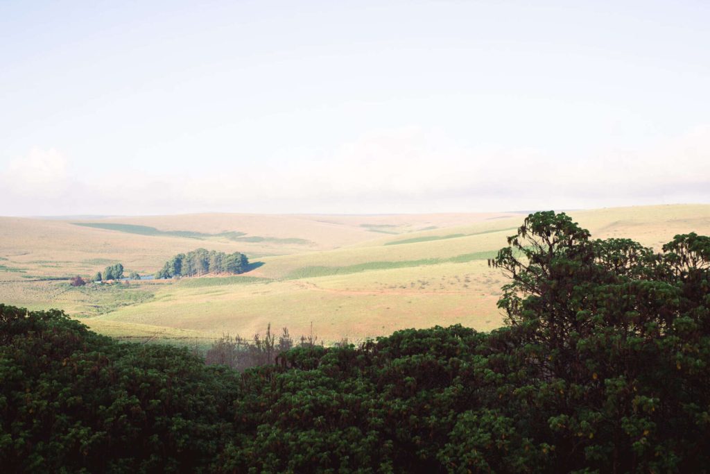 Nyika-National-Park-scenery2-scaled-1800x1200