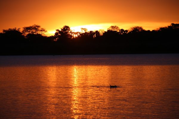 Sunset views - Liwonde national park Sunset views - Liwonde national park