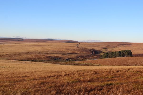 Ultimate Travel - Nyika National Park (5) Ultimate Travel - Nyika National Park (5)